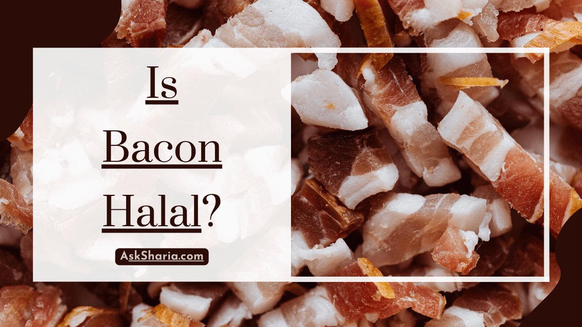 Nature's Season, Seasoning Blend Halal / Haram Status / Halal Food